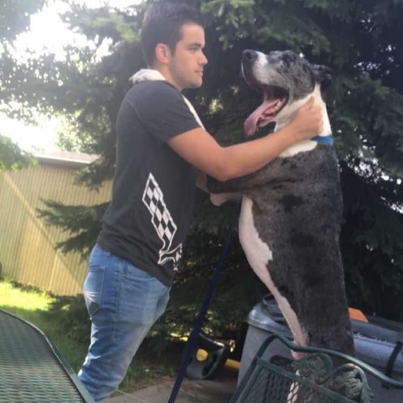 Meet your Posher, Brad - Picture 1 of 1